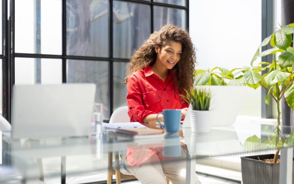 Dicionário do Empreendedorismo o que é cadeia de valor