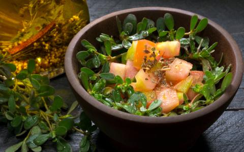 Confira 3 receitas de saladas deliciosas para você vender